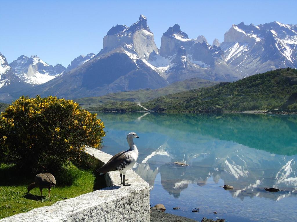 Hosteria Pehoe Torres del Paine National Park Exterior foto